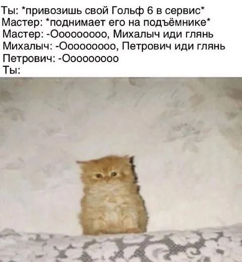 Гольф 6 в сервисе