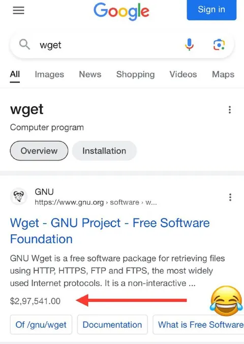 Wget Costs $2,97,541