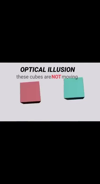 Cubes Are Not Moving