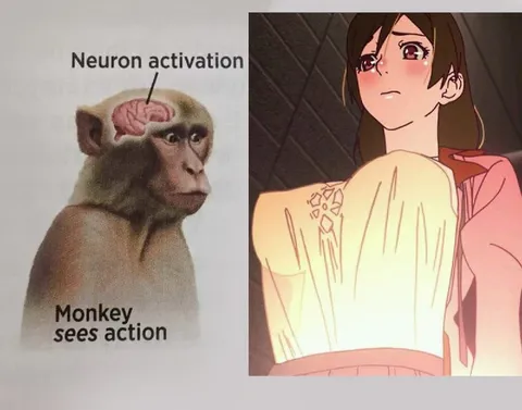 Neuron Activation Monkey Sees Action