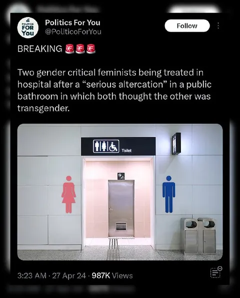 Gender-Critical Feminists Fight in Bathroom
