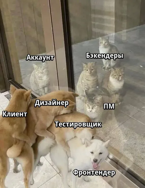 Команда разработки у стекла
