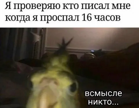 Проспал 16 часов и никто не писал