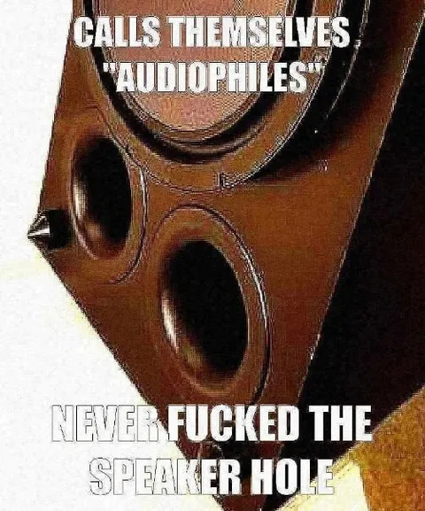 Audiophiles Never Used the Speaker Hole