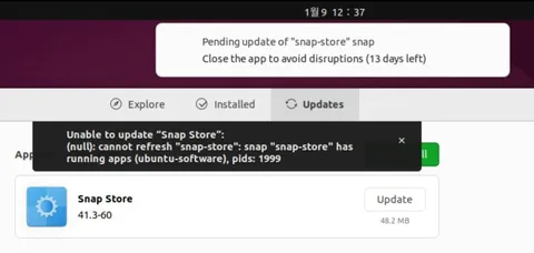 Snap Store Update Failure