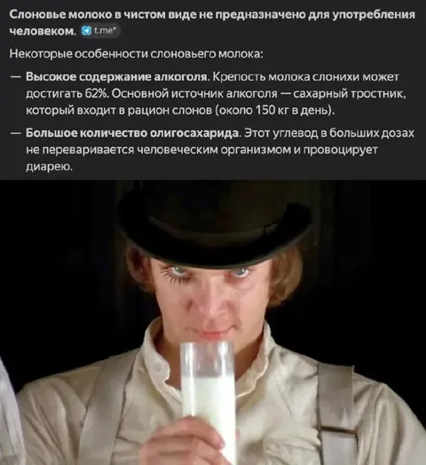 Алекс пьёт слоновье молоко