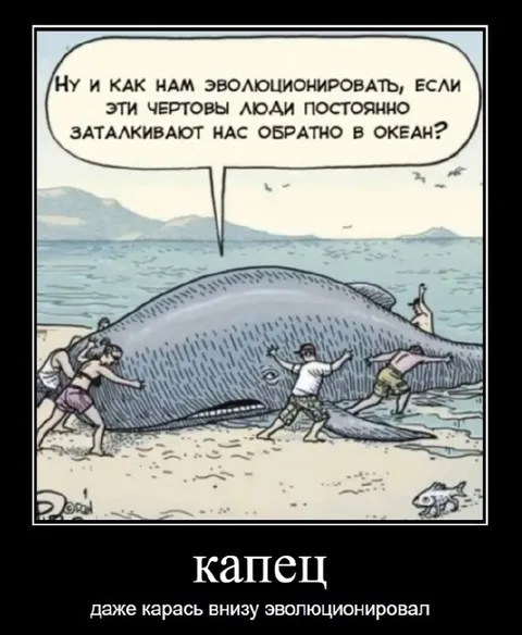 Люди заталкивают китов обратно