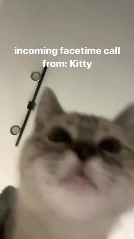 Incoming FaceTime Call From Kitty