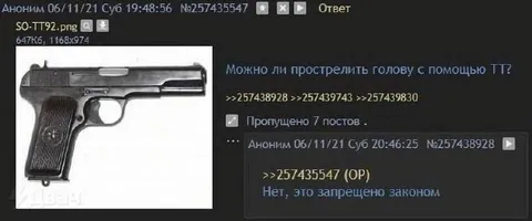 Можно ли прострелить голову из ТТ