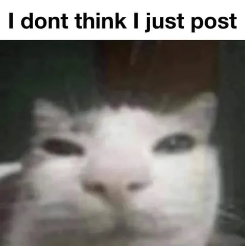 I Dont Think I Just Post