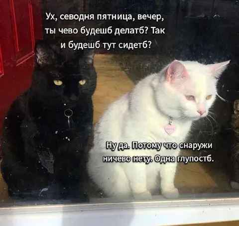Пятничный вечер за окном