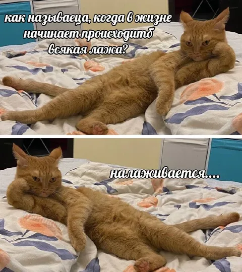 Когда всякая лажа налаживается