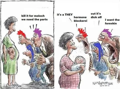 Hormone Blockers Satire Cartoon