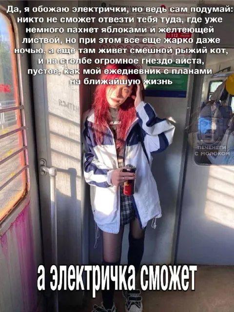 Электричка отвезёт к рыжему коту
