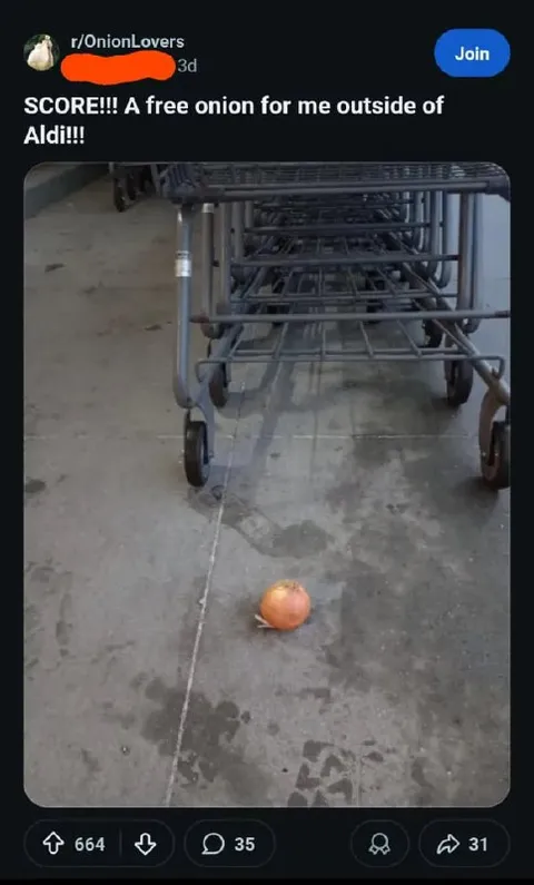 Free Onion Outside Aldi