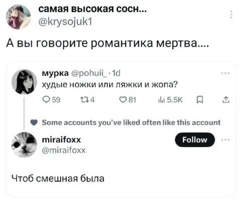 Романтика с хомяком и кошкой