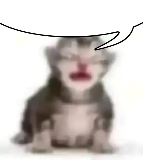 Размытый кот кричит