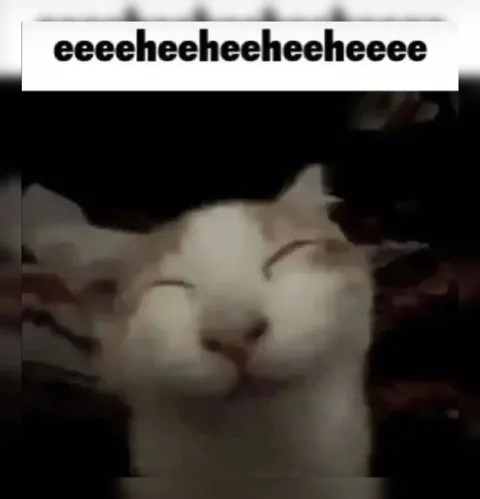 Cat Laughing Hysterically