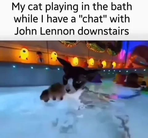 Cat Swimming While Talking to John Lennon