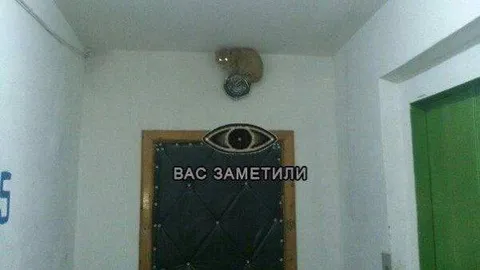 Вас заметили