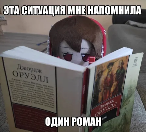 Эта ситуация мне напомнила один роман