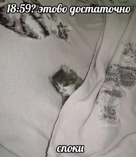 Котик уже спит в 18:59