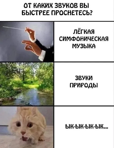 От каких звуков проснетесь