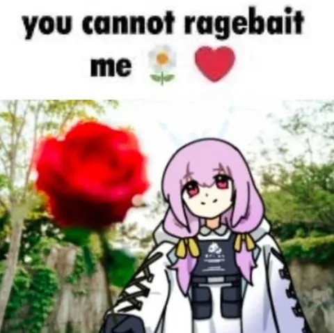 You Cannot Ragebait Me