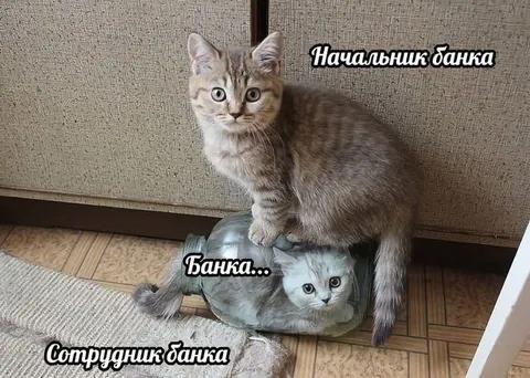 Начальник банка и сотрудник