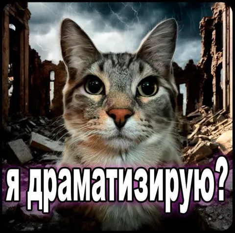 Кот драматизирует