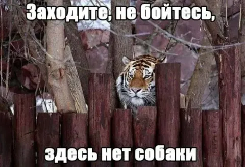 Заходите, не бойтесь