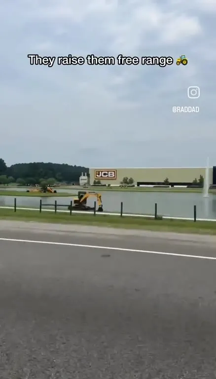 Free-Range Excavators
