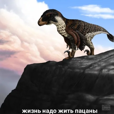 Жизнь надо жить пацаны