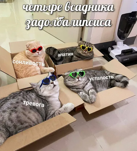 Четыре всадника задолбавшихся