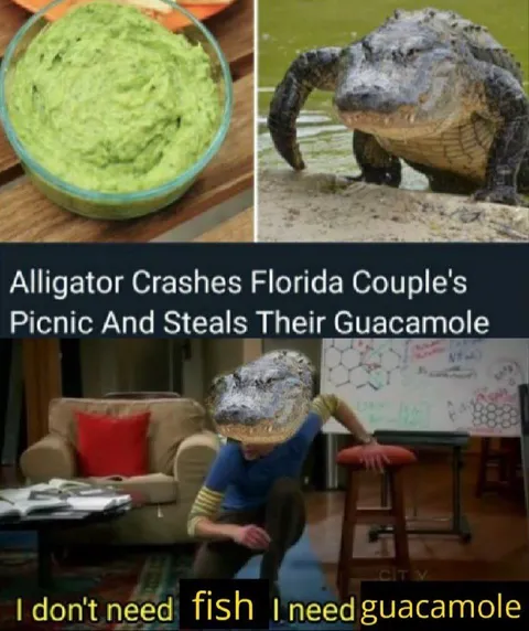 Alligator Needs Guacamole