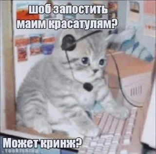 Кот спрашивает про кринж