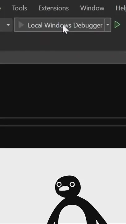 When the Debugger Finally Runs
