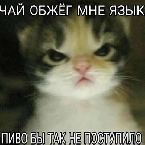 Чай обжёг мне язык