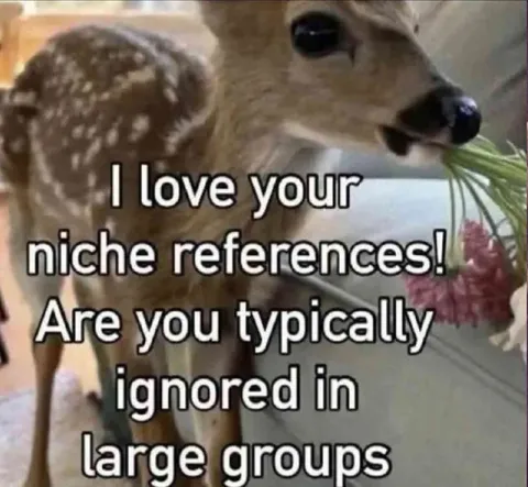 Deer Loves Niche References