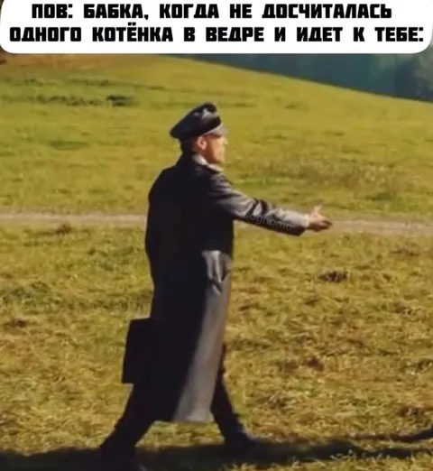 Бабка не досчиталась котёнка