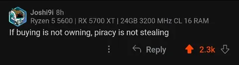 If Buying Is Not Owning