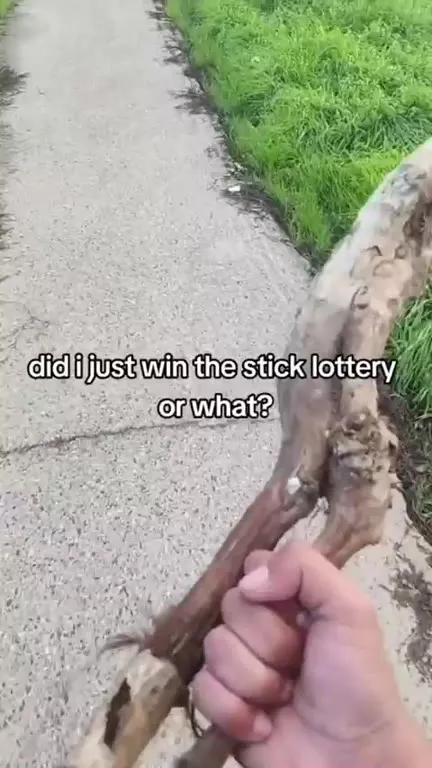 Stick Lottery Victory Reaction