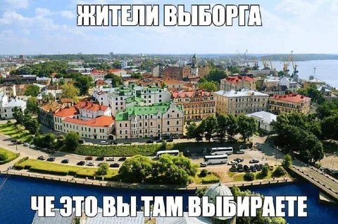 Жители Выборга выбирают