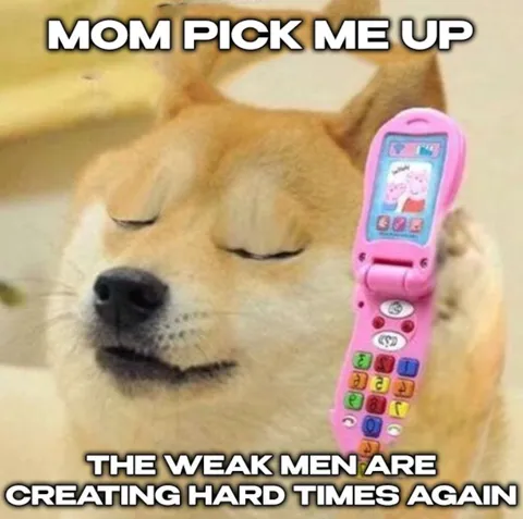 Mom Pick Me Up Doge