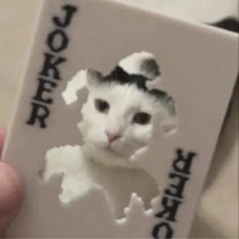 Cat Breaking Through Joker Paper