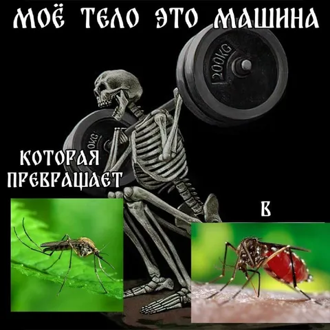 Тело-машина для комаров
