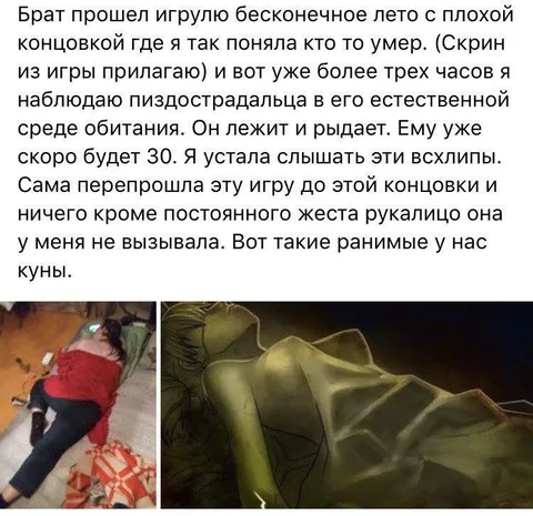 Ранимые куны после плохой концовки