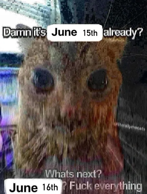 Damn, It's June 15th Already
