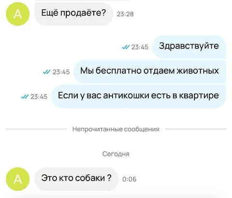 Антикошки вместо животных