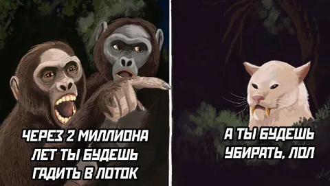 Эволюция кота и лоток